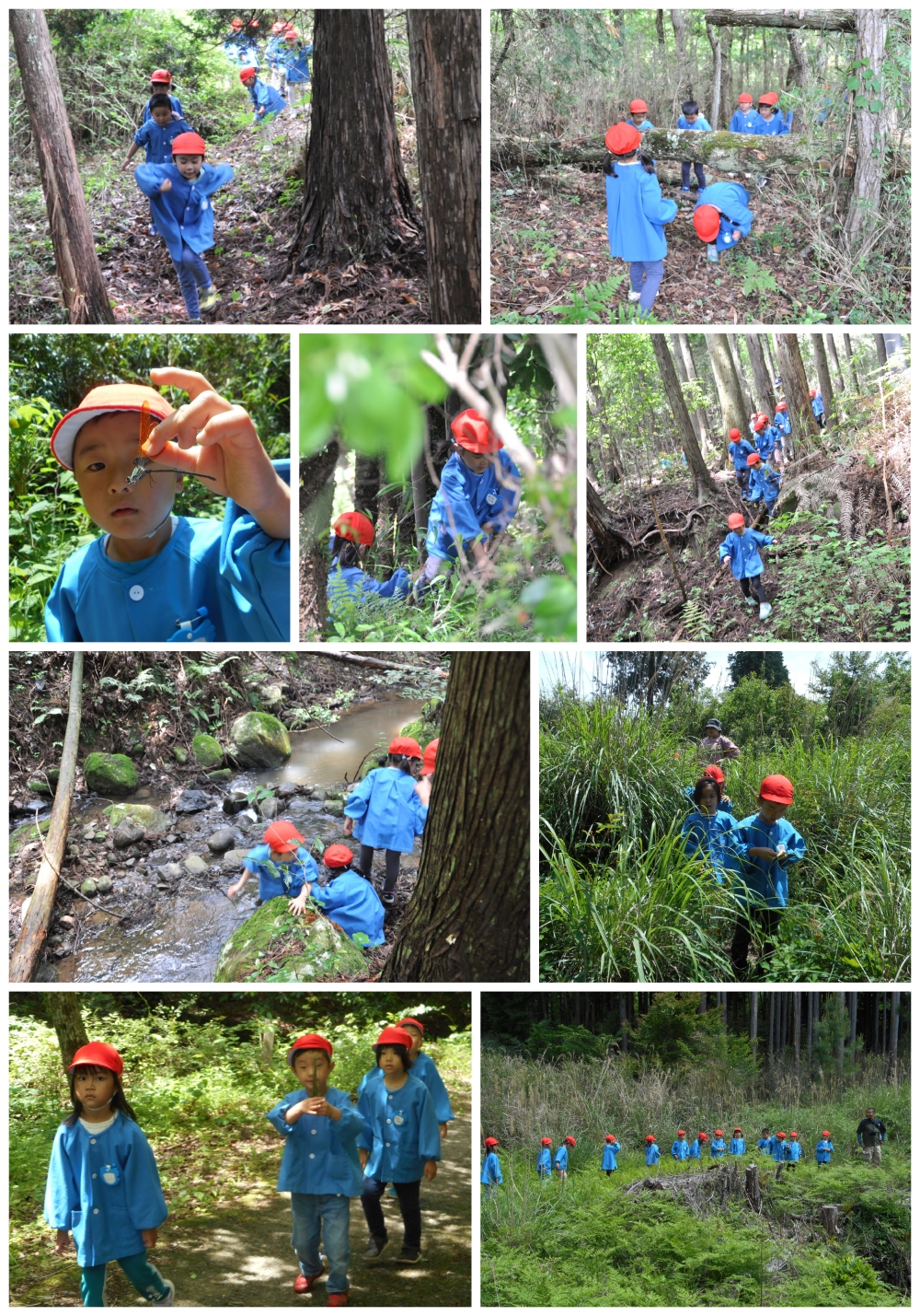 2024年春の遠足 誕生日会画像