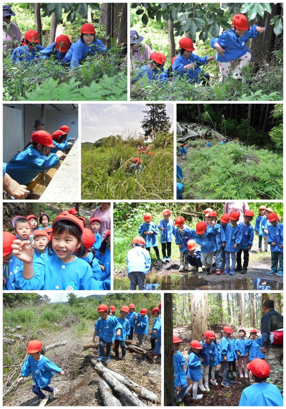 2024年春の遠足 誕生日会画像