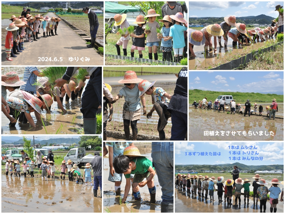 2024年田植え 誕生日会画像