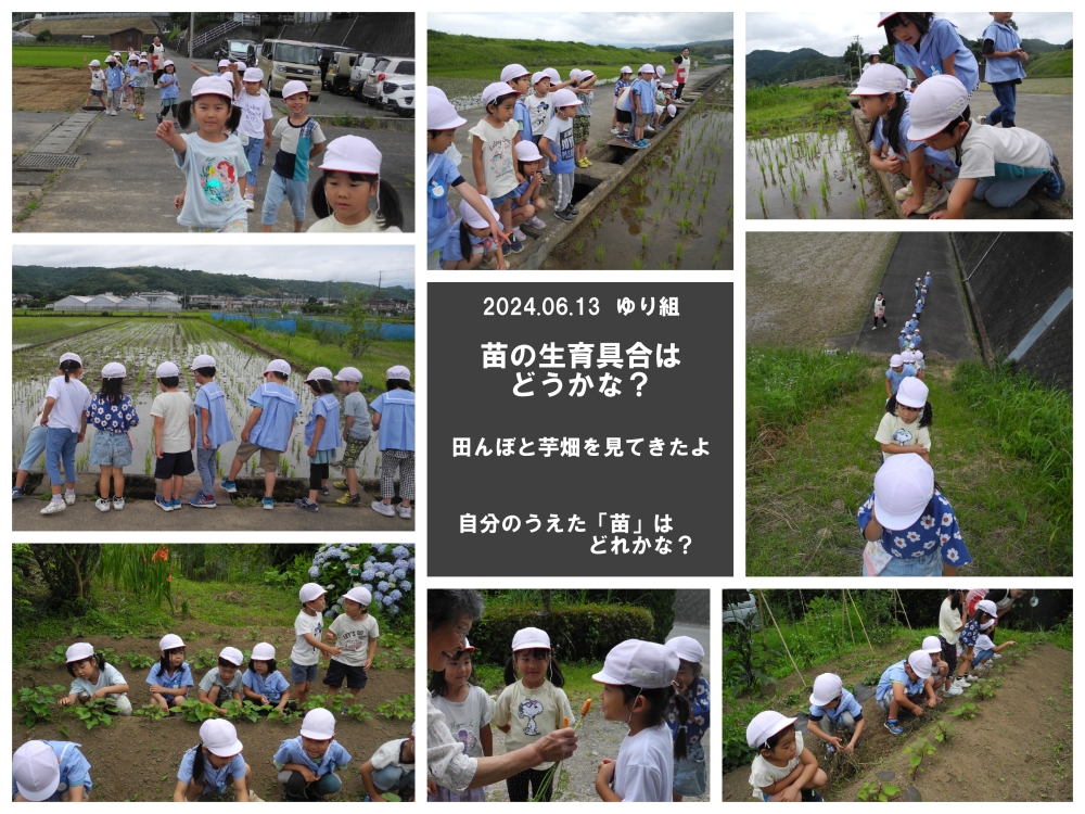 2024年田植え 誕生日会画像