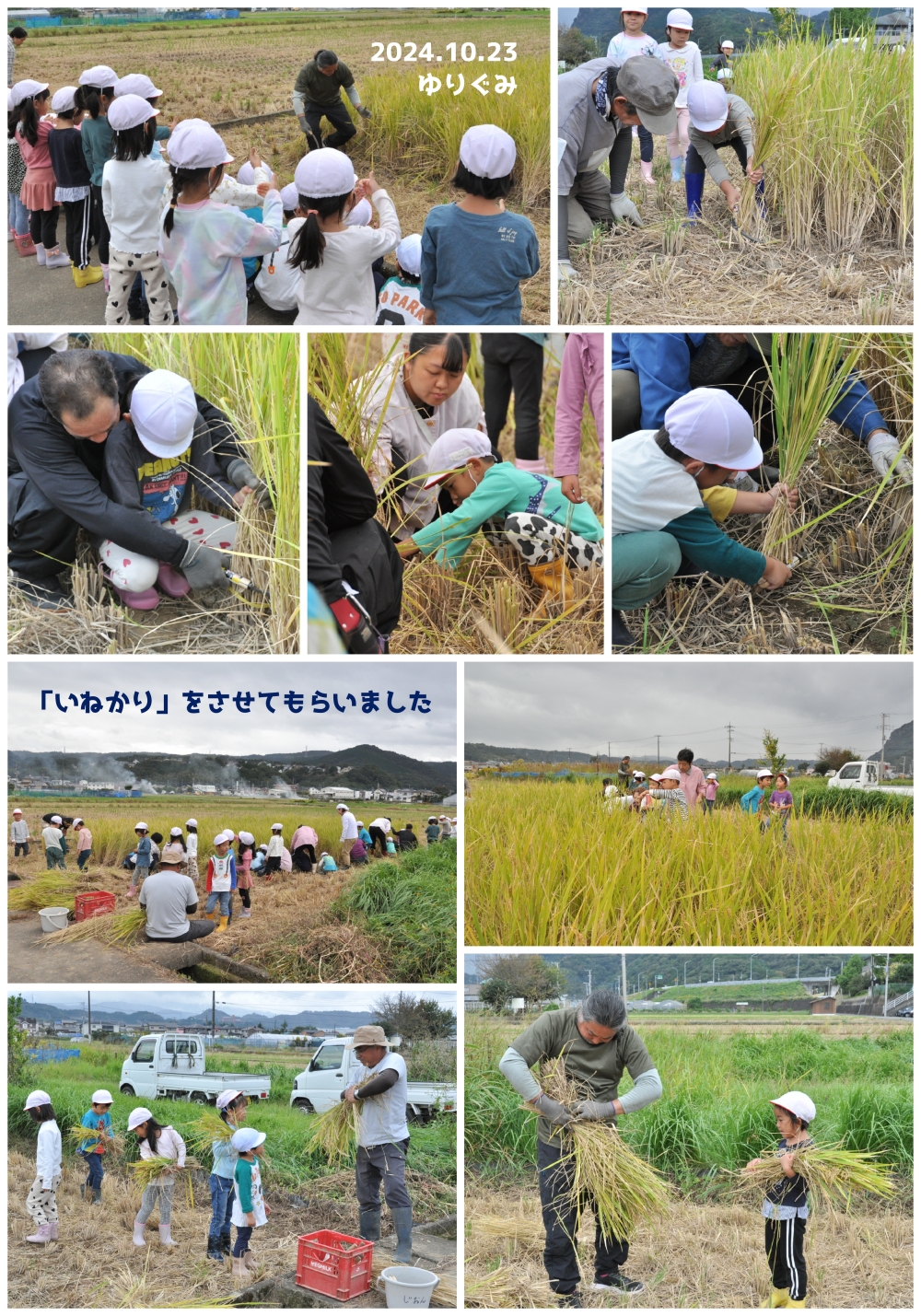 2024年稲刈り 誕生日会画像