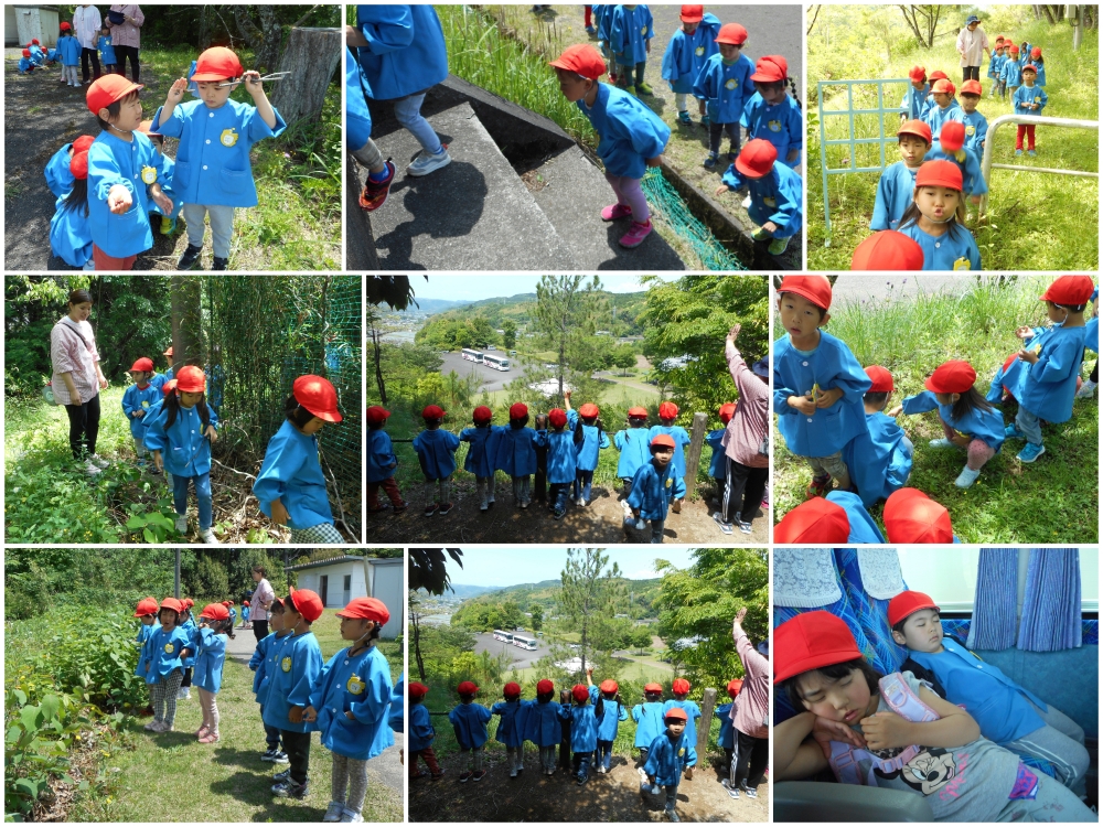 2025年春の遠足 誕生日会画像