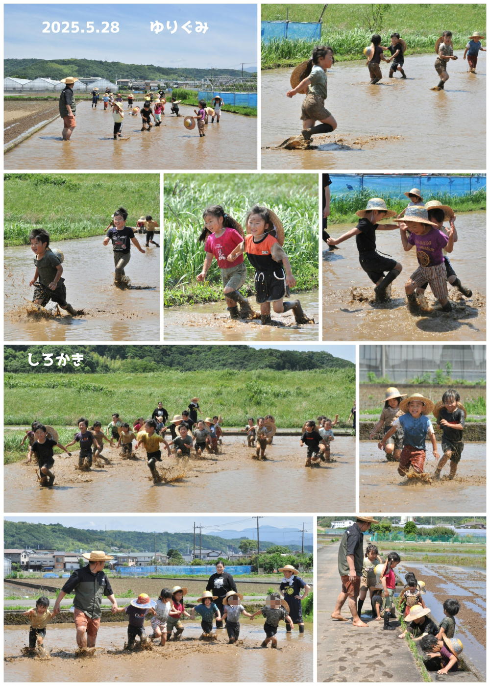 2025年田植え 誕生日会画像