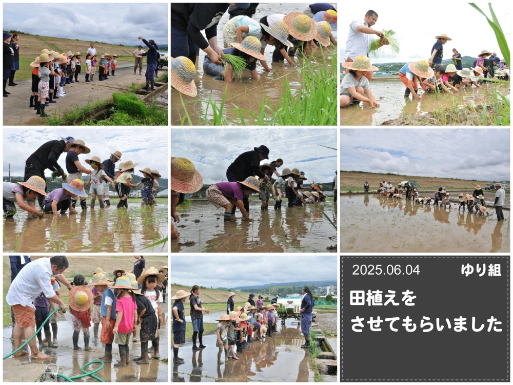 2025年田植え 誕生日会画像