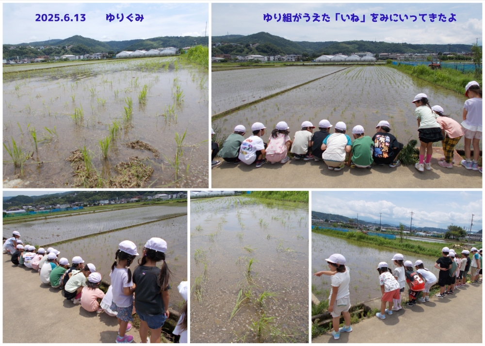 2025年田植え 誕生日会画像