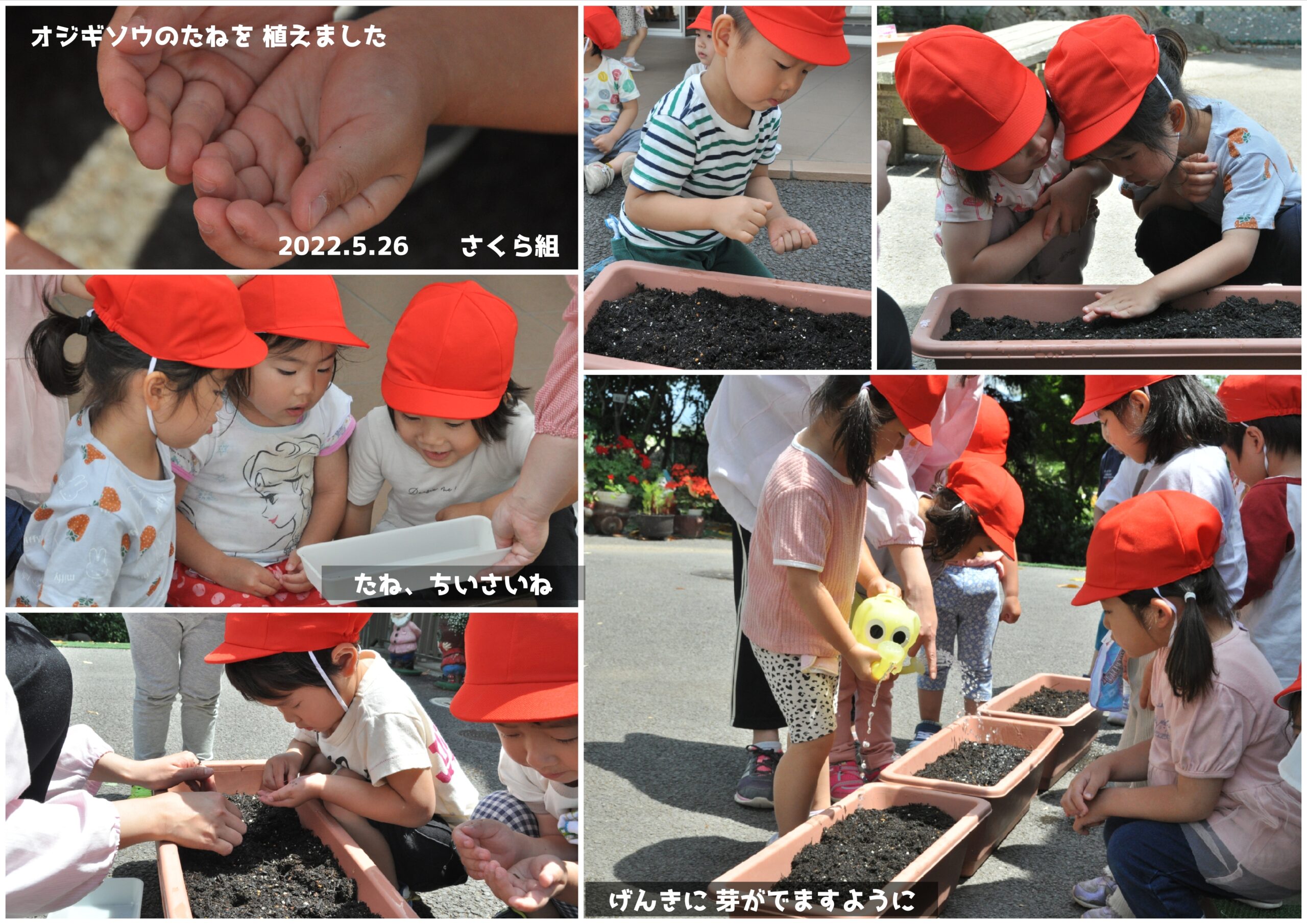 2022年5月の思い出 誕生日会画像