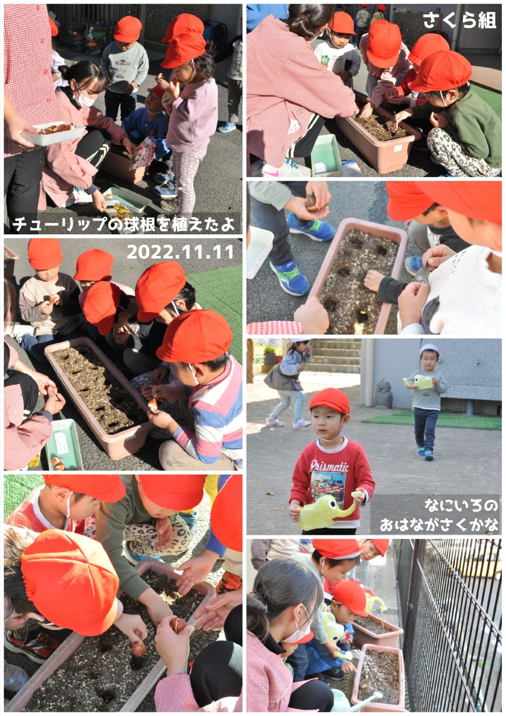 2022年11月の思い出 誕生日会画像