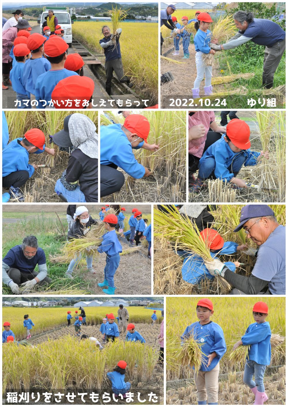 2022年稲刈り 誕生日会画像