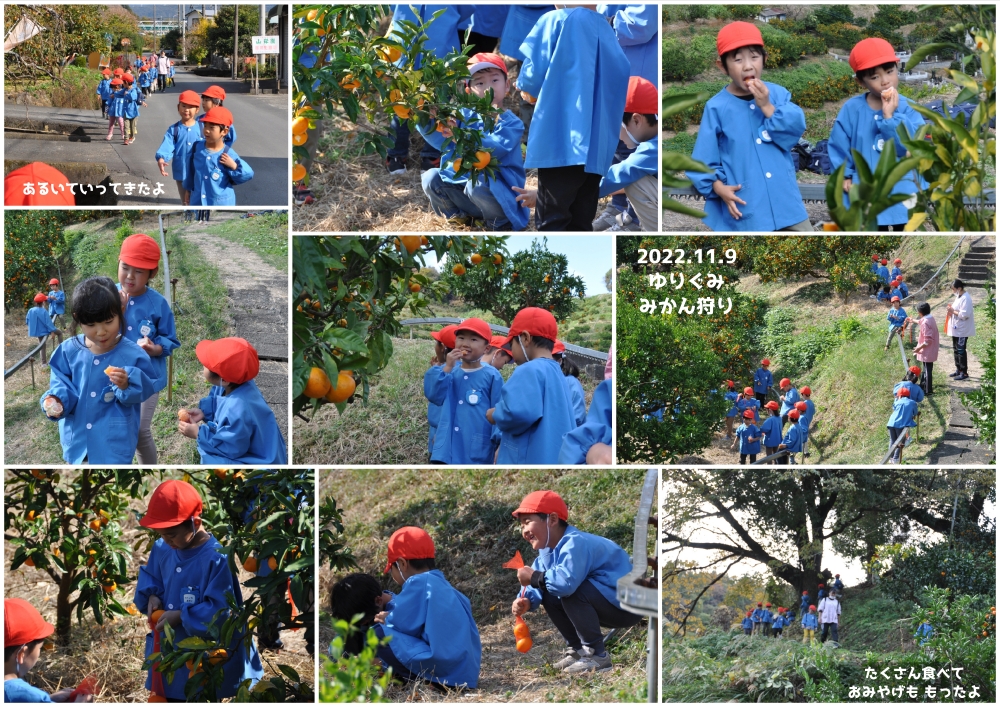 2022年みかん狩り 誕生日会画像