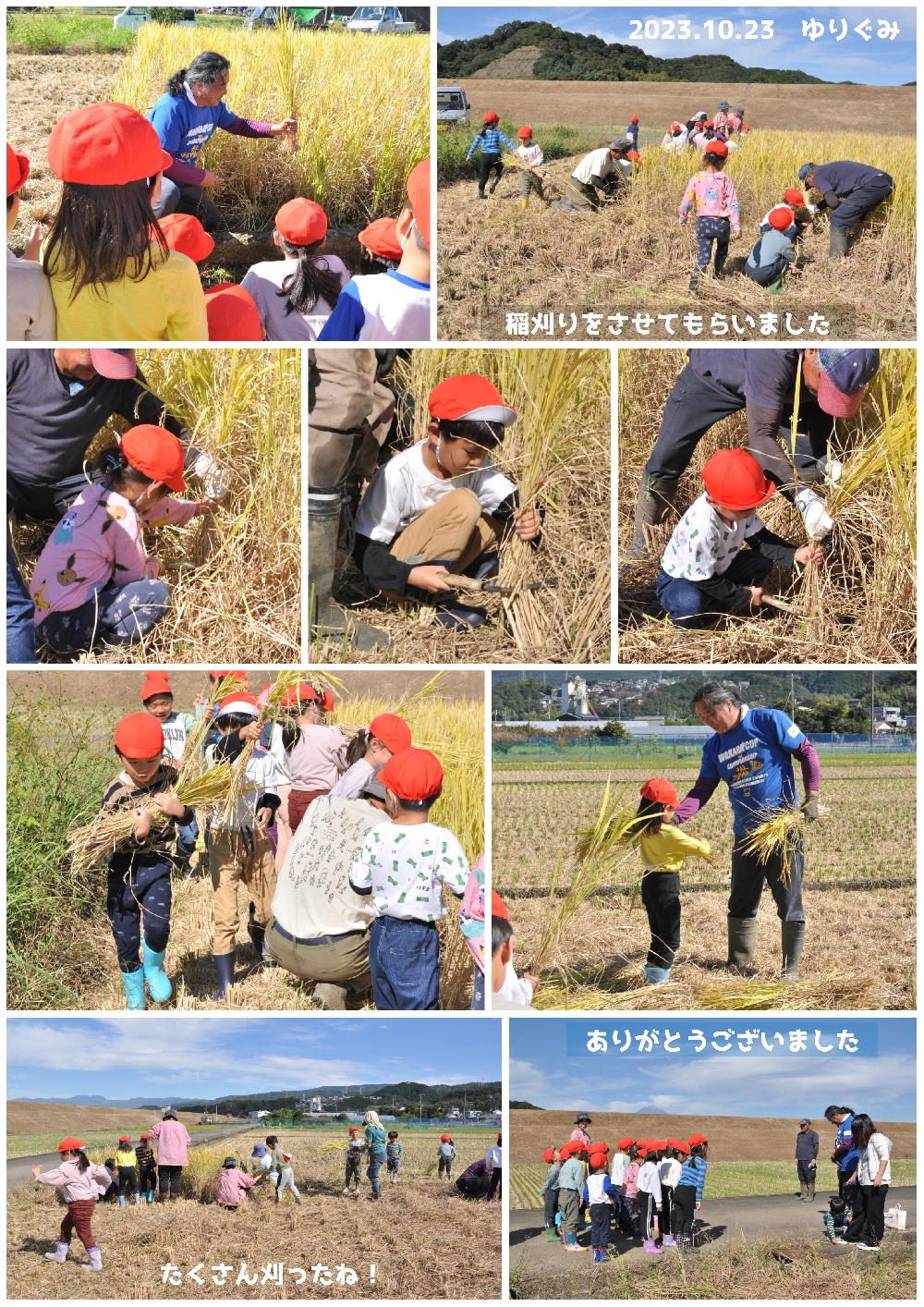 2023年稲刈り 誕生日会画像