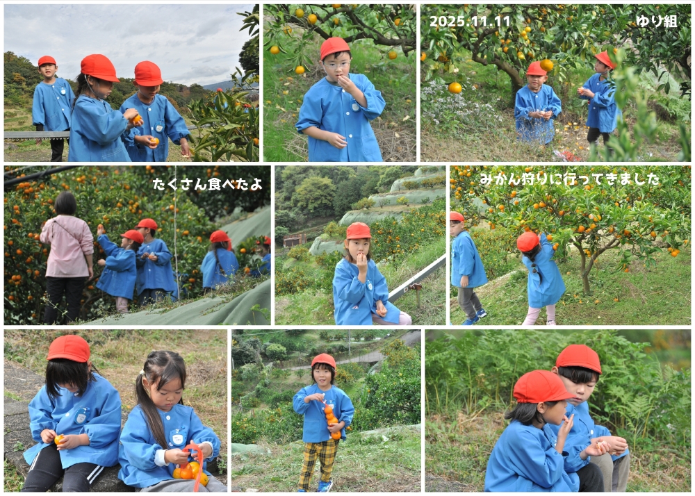 2025年みかん狩り 誕生日会画像