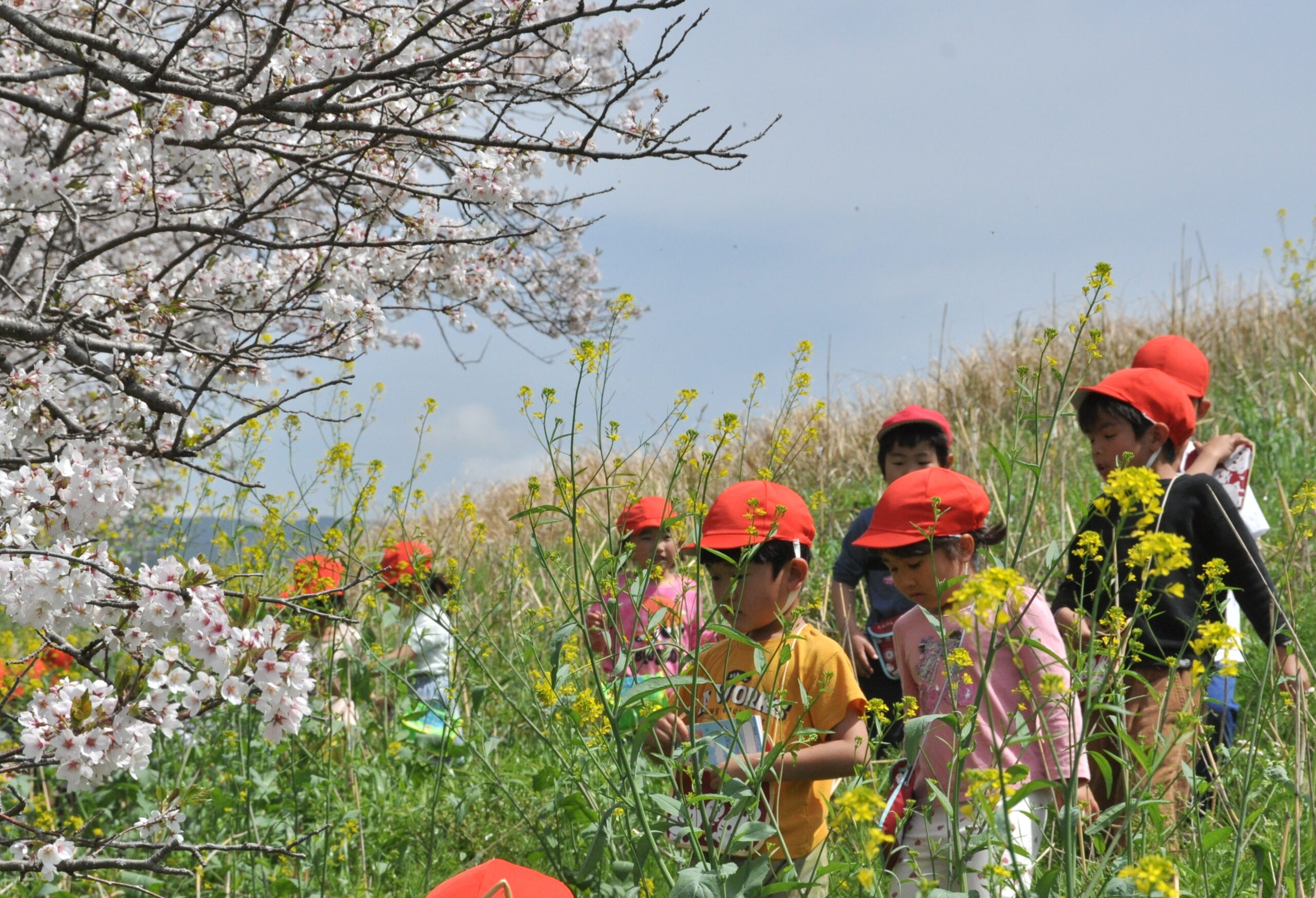 4月の写真