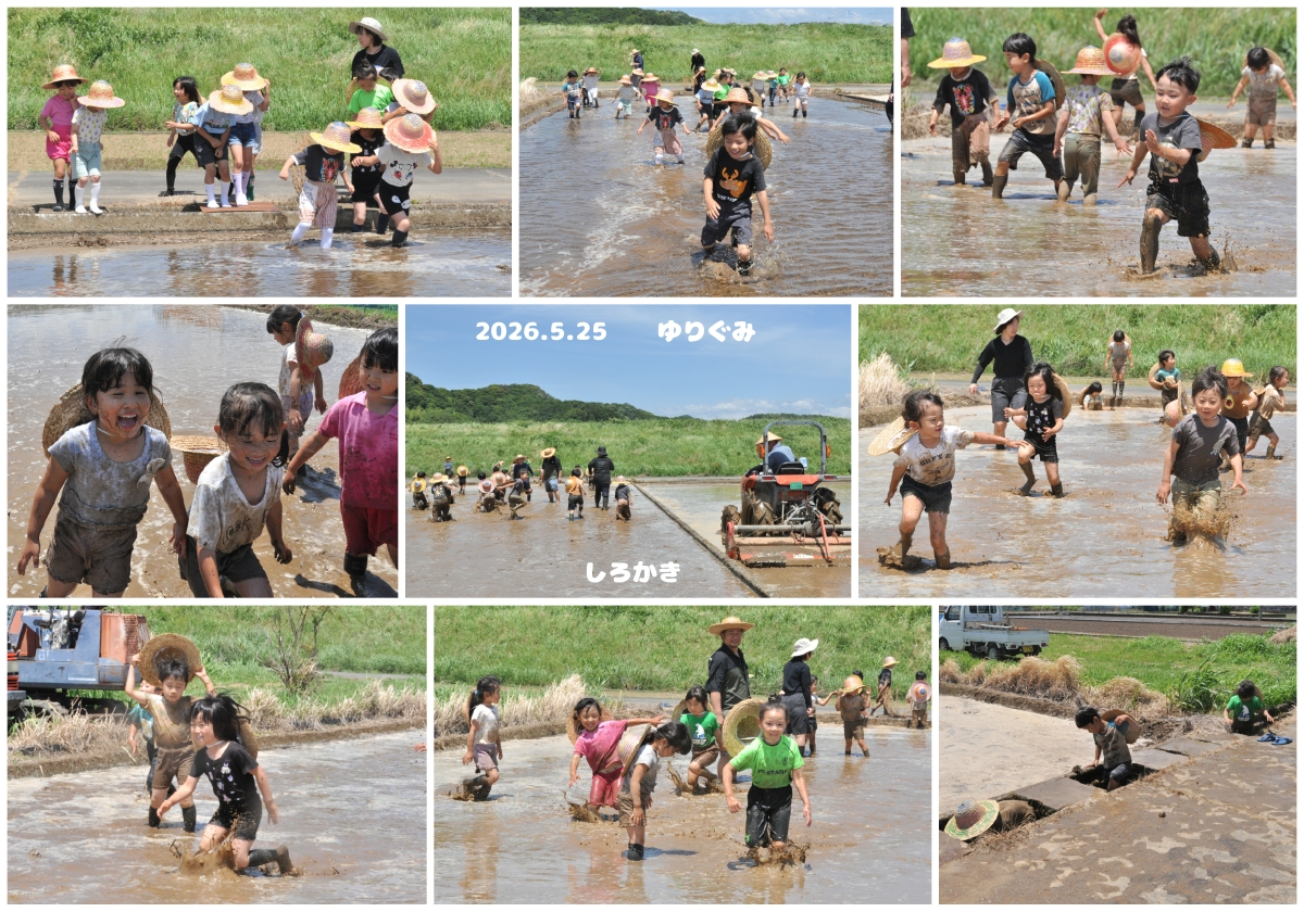 2026年しろかき・田植え 誕生日会画像